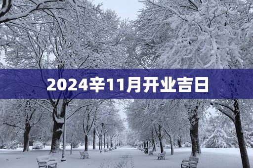 2025辛11月开业吉日