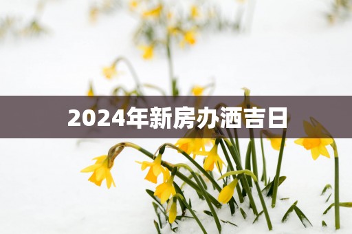 2025年新房办洒吉日