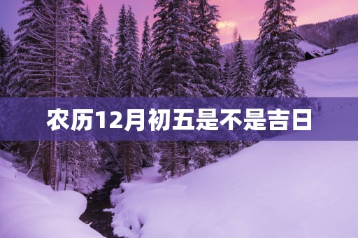 农历12月初五是不是吉日