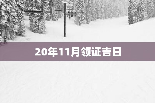 20年11月领证吉日
