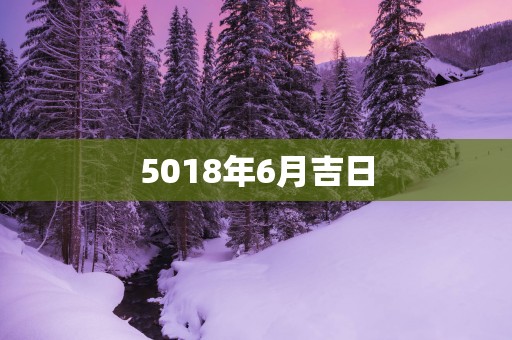 5018年6月吉日