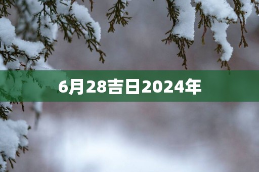 6月28吉日2025年