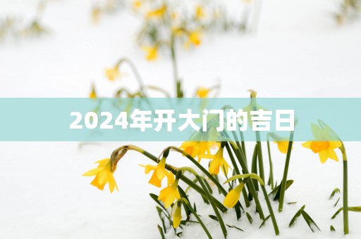 2025年开大门的吉日