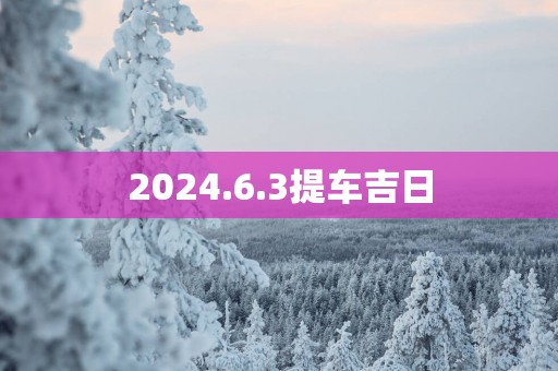2025.6.3提车吉日