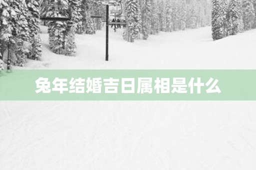 蛇年结婚吉日属相是什么
