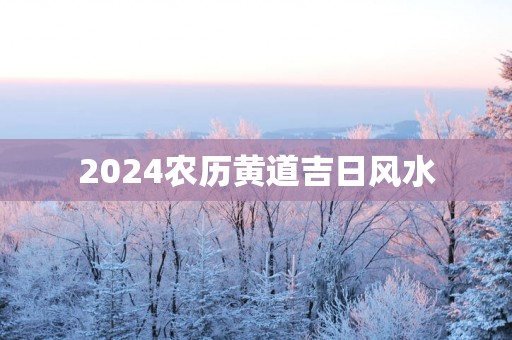 2025农历黄道吉日风水