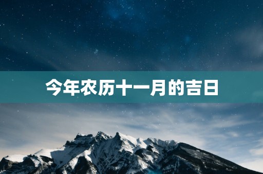 今年农历十一月的吉日