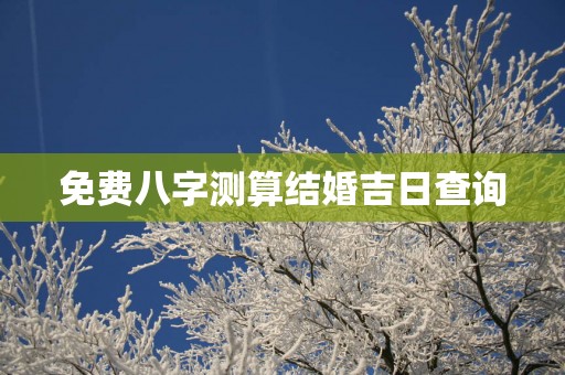免费八字测算结婚吉日查询