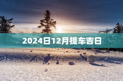 2025日12月提车吉日