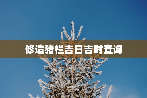 修造猪栏吉日吉时查询