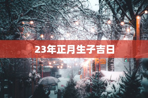 23年正月生子吉日