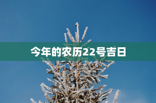 今年的农历22号吉日