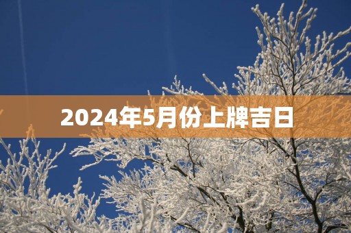 2025年5月份上牌吉日
