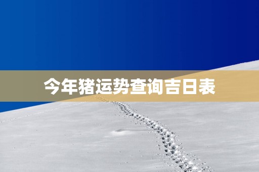 今年猪运势查询吉日表