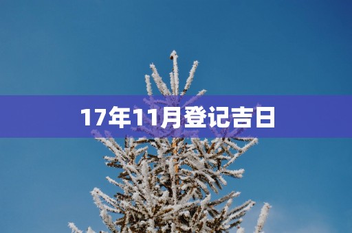 17年11月登记吉日