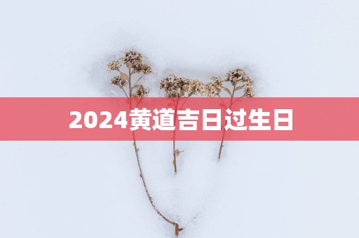 2025黄道吉日过生日