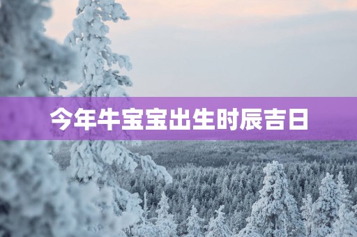 今年牛宝宝出生时辰吉日