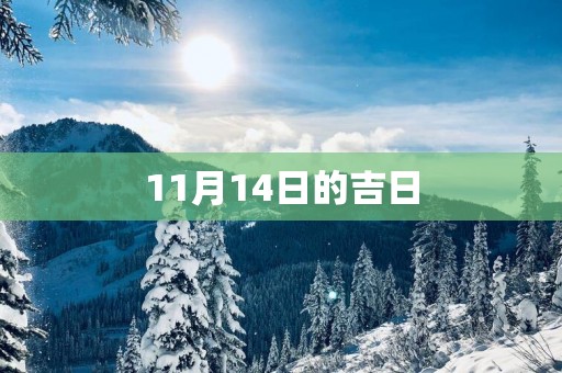 11月14日的吉日