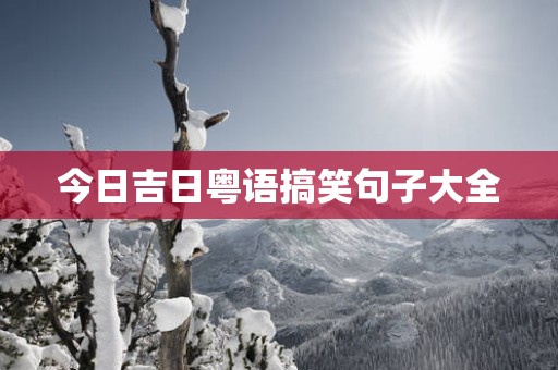 今日吉日粤语搞笑句子大全
