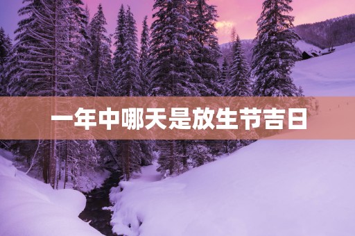 一年中哪天是放生节吉日
