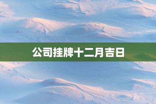 公司挂牌十二月吉日
