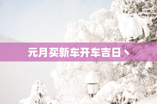 元月买新车开车吉日丶