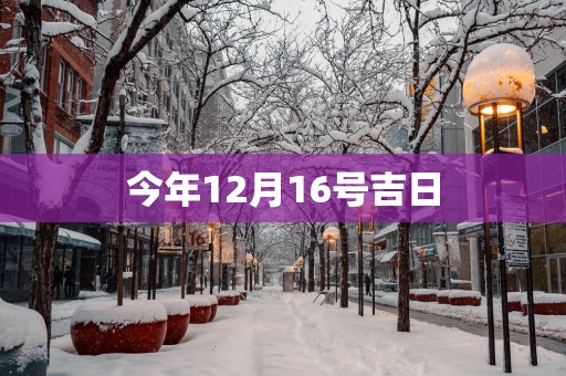 今年12月16号吉日