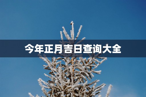 今年正月吉日查询大全