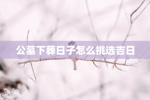 公墓下葬日子怎么挑选吉日