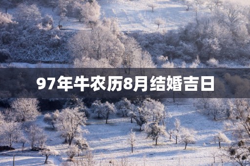 97年牛农历8月结婚吉日