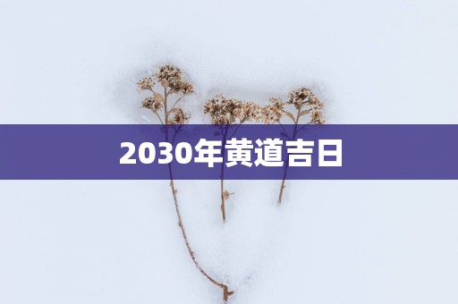 2030年黄道吉日