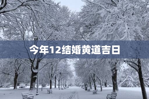 今年12结婚黄道吉日