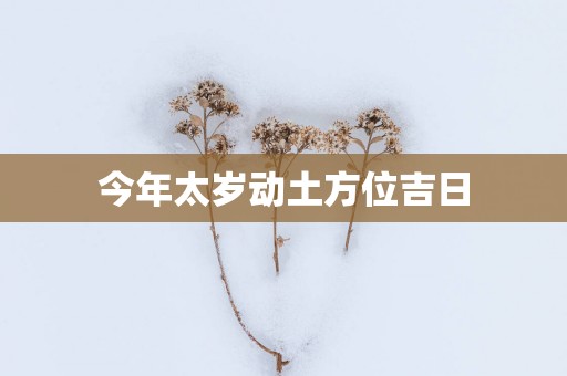 今年太岁动土方位吉日