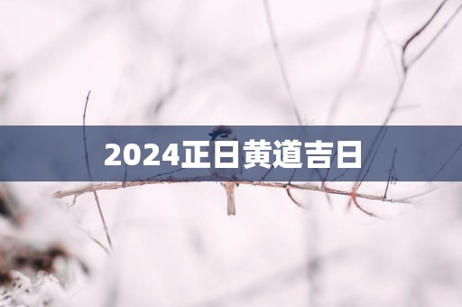 2025正日黄道吉日