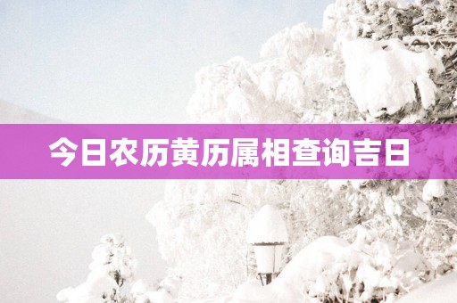 今日农历黄历属相查询吉日