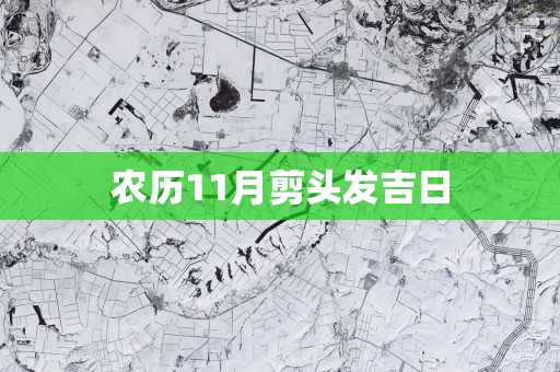 农历11月剪头发吉日