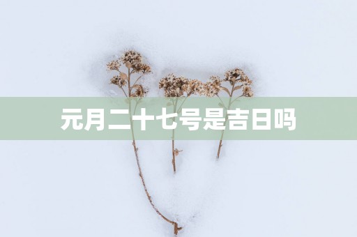 元月二十七号是吉日吗