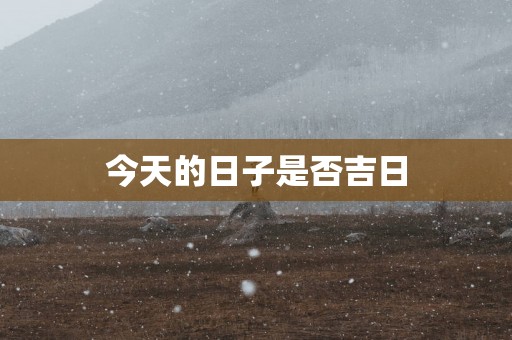 今天的日子是否吉日
