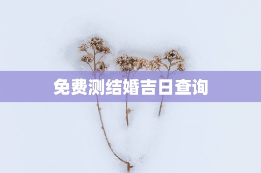 免费测结婚吉日查询