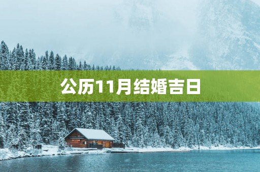 公历11月结婚吉日