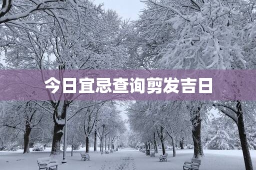 今日宜忌查询剪发吉日
