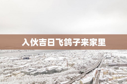 入伙吉日飞鸽子来家里
