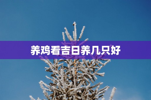 养鸡看吉日养几只好