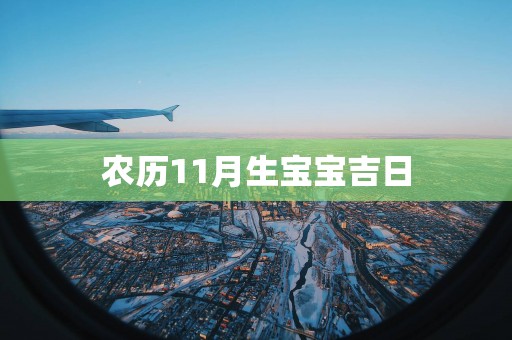 农历11月生宝宝吉日
