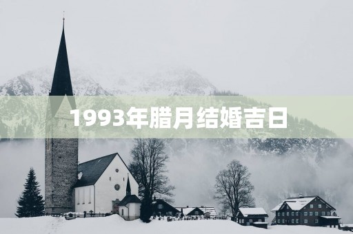 1993年腊月结婚吉日