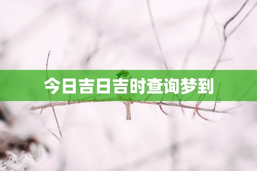 今日吉日吉时查询梦到
