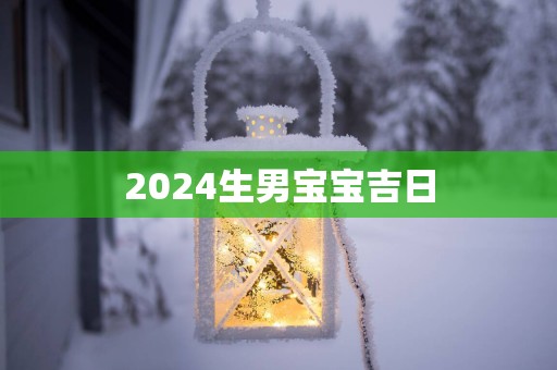 2025生男宝宝吉日