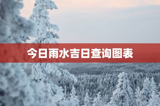 今日雨水吉日查询图表