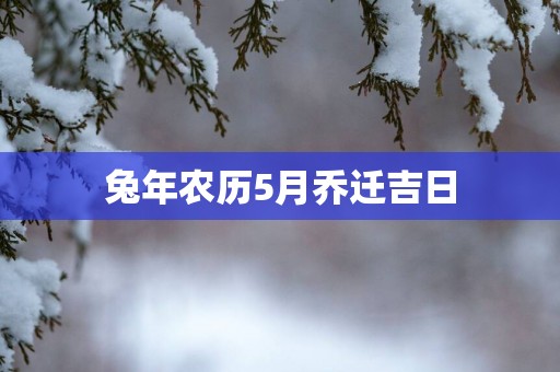 蛇年农历5月乔迁吉日