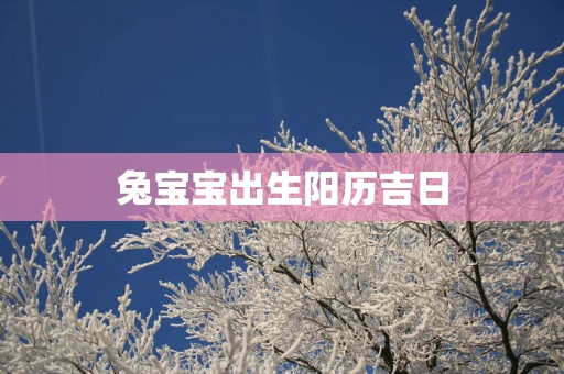 兔宝宝出生阳历吉日